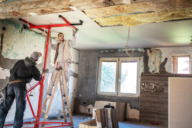 Best Cellulose Insulation in Pataskala, OH