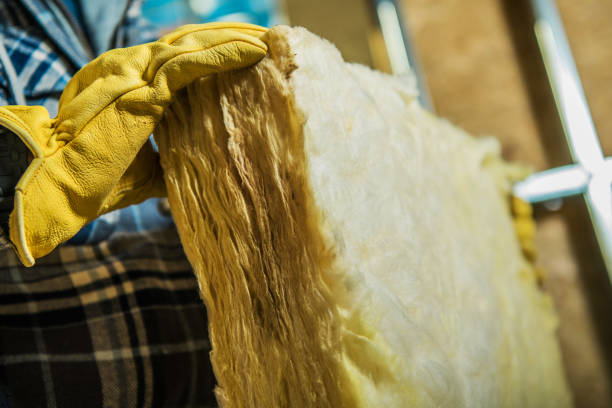Best Geographic-Specific Insulation Services in Pataskala, OH